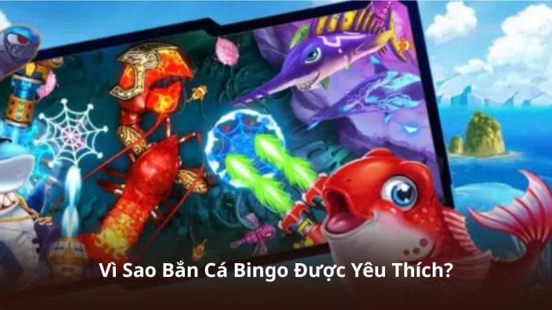 Vì Sao Bắn Cá Bingo Được Yêu Thích?